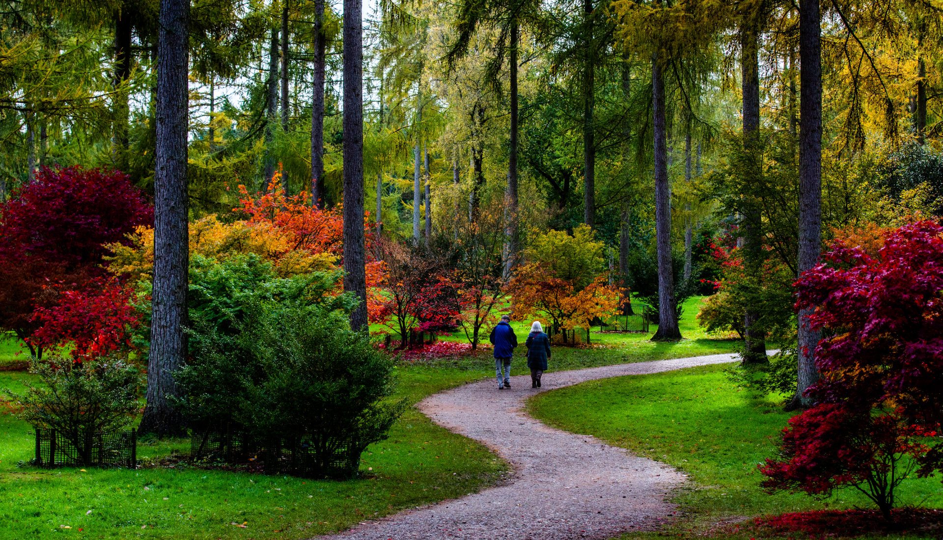 Autumn at Westonbirt